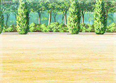 Puño de Hierro del Dragón de Fuego Avanzado