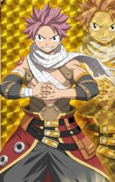 King dragon Slayer Natsu dragneel, Wiki