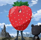 Armure de la Fraise (888 kio) Armure de la Fraise