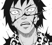 Ren lame distorsion.jpg