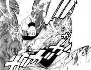 Natsu vs Rog du Futur