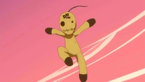 Auto-Renforcement Coton