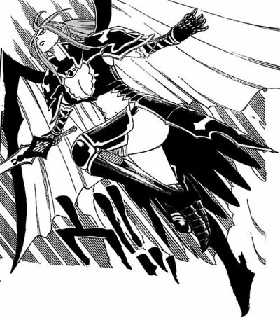 Armure Aux Ailes Noires Fairy Tail Wiki Fandom