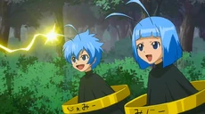 Transformation Animale (943 kio) Transformation Animale