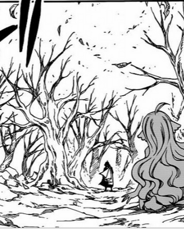 Malediction Contradictoire Fairy Tail Wiki Fandom Malediction Contradictoire Fairy Tail Wiki Fandom