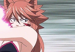 Entrave Féline Multiple