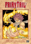 Fairy Tail Tome 19 Fr Spéciale.jpg