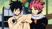 Grey et Natsu