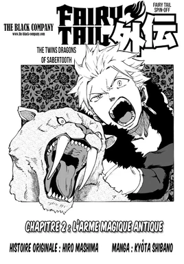 Fairy Tail Gaiden couv 2