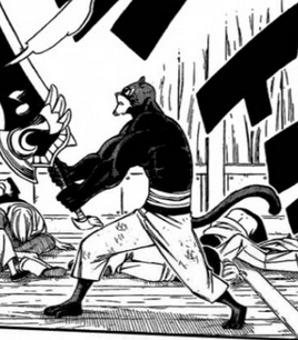 Manga - Forme Combat