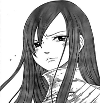 Chapitre 75 erza larme