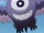 Oiseau Cyclope