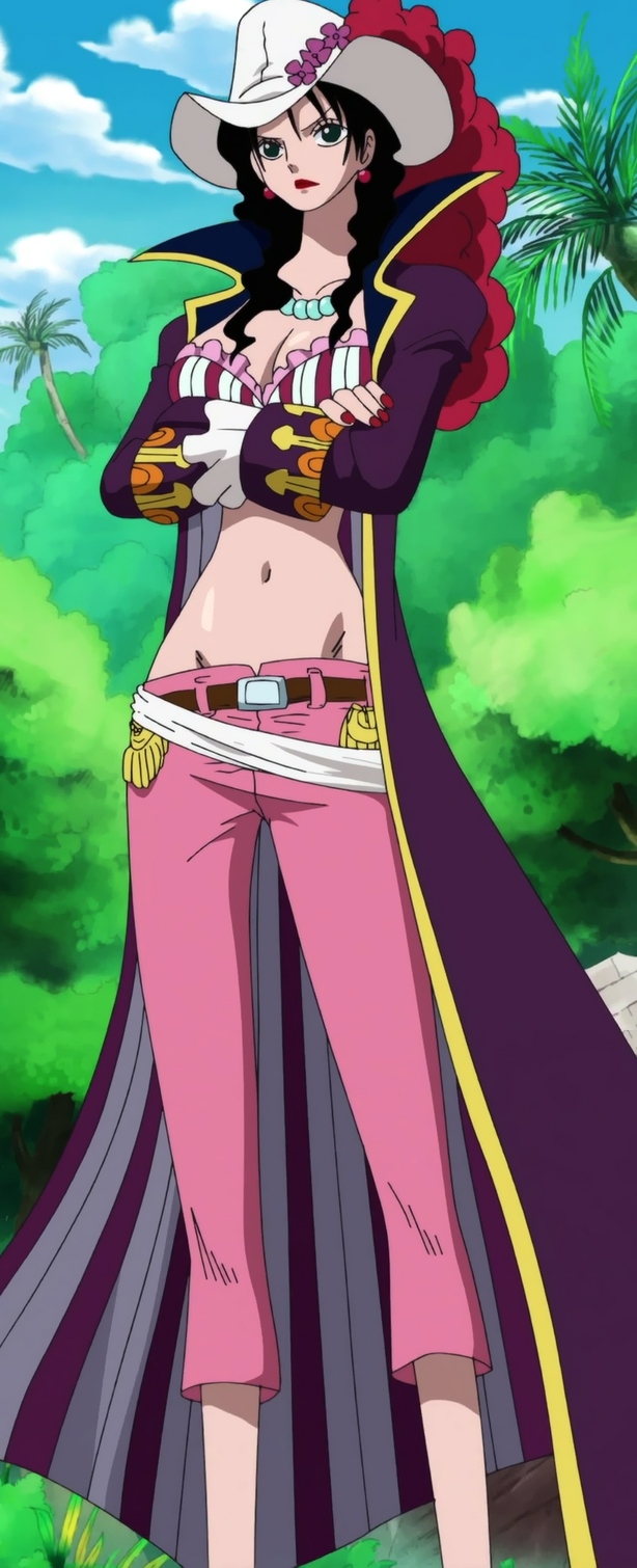 Dracule Mihawk, One Piece Wiki