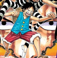 Luffy's First Outfit in the Amazon Lily Arc and Impel Down Arc