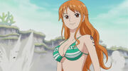 Nami 557803-fairy one piece tail 555 5