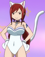 Erza in Kitty Suit in Memory Days.