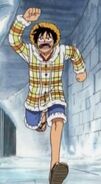 Luffy wearing Nami's coat during the Drum Island Arc.