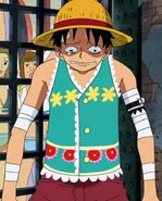 Luffy's Flower Outfit in the Amazon Lily Arc