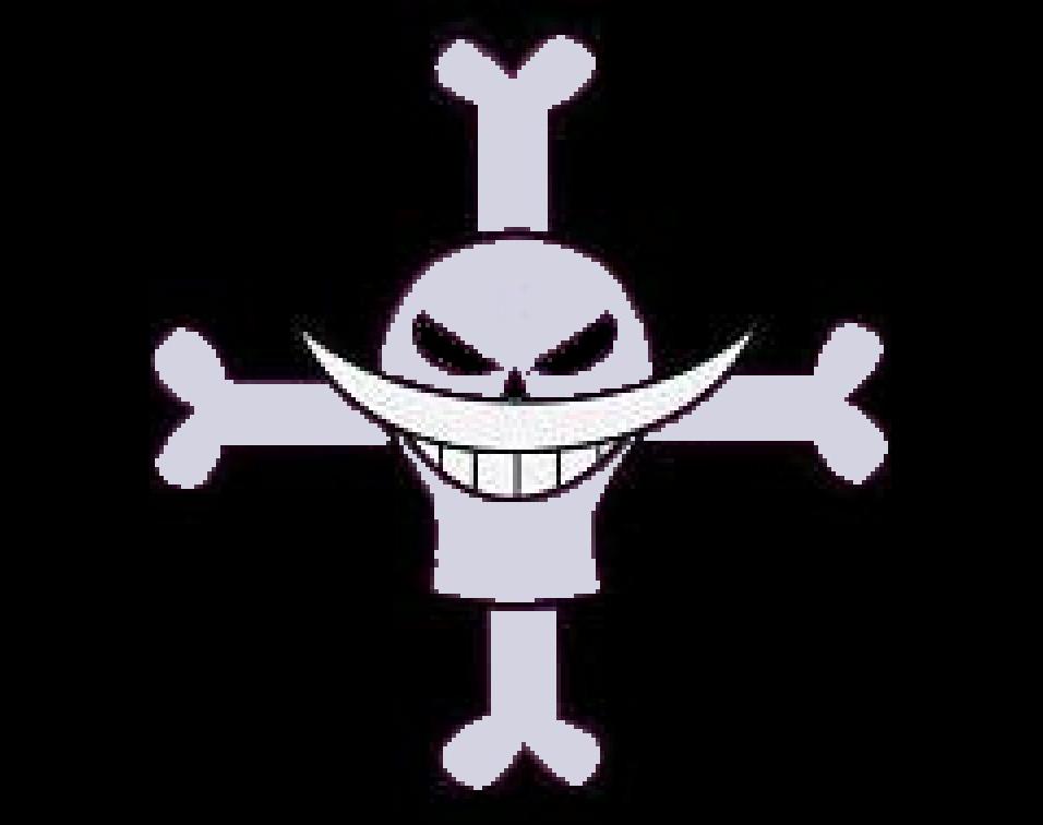 Download Whitebeard Pirates Zip Up Hoodie - One Piece Whitebeard Flag PNG  Image with No Background - PNGkey.com