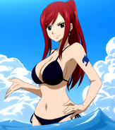 Erza in blac swimsuit