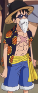 Luffy Disguise Dressrosa