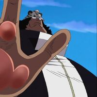 Paw Paw Fruit Fairy One Piece Tail Wiki Fandom
