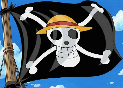 Drapeau Pirate Grand Format