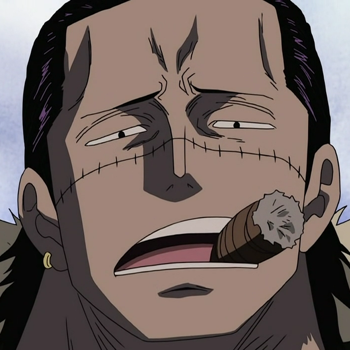 Who is Crocodile in One Piece?