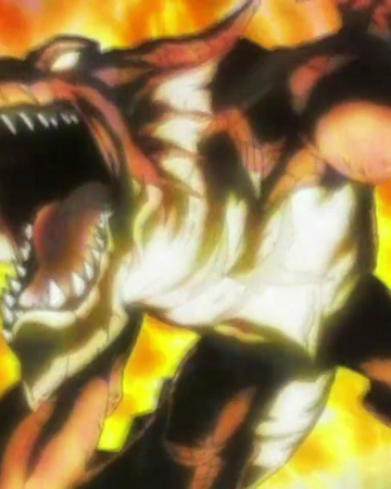 Feuer Drachentoter Magie Fairy Tail Wiki Fandom