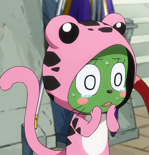 fairy tail frosch and rogue