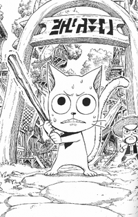 Fairy Tail The Color Residing Within The Heart Fairy Tail Wiki Fandom