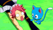 Happy aids Natsu