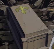 Will Neville's coffin