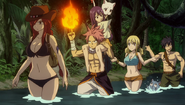 Natsu and the others look for the stone