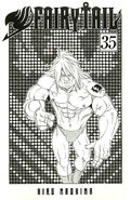 Ichiya on the inner cover of Volume 35