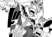 Natsu, the King of the festival