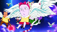 Belletokia using Aera