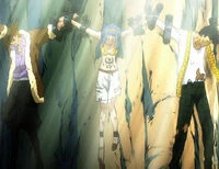 La sconfitta del Team Shadow Gear.