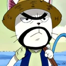 Lucky - Close up.JPG