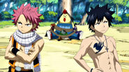 Natsu and Gray victorious