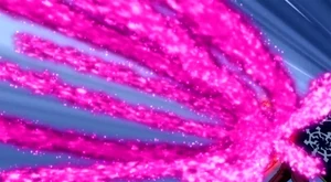 Prominencia del Látigo