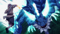 Natsu vs. Animus