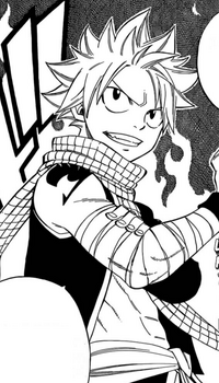 Natsu revela poder eliminar a Zeref