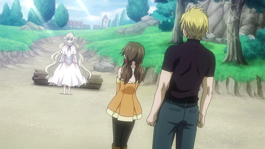 Fairy Tail Zero, Wiki