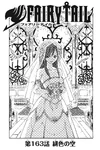 Chapter 163