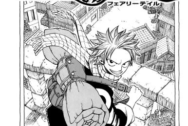 Chapter 255 | Fairy Tail Wiki | Fandom