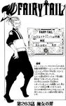 Chapter 263