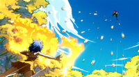 Levy vs. Kawazu