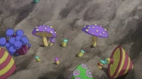 Mount Altana's poisonous mushrooms