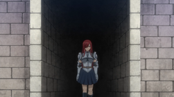 Erza Regresa con Sus Compañeros